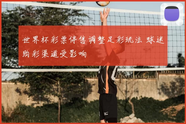 世界杯彩票停售调整足彩玩法 球迷购彩渠道受影响