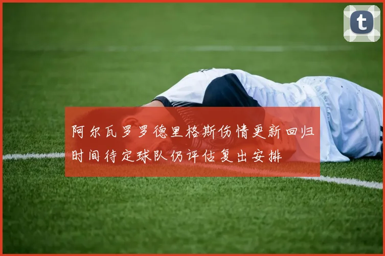 阿尔瓦罗罗德里格斯伤情更新回归时间待定球队仍评估复出安排