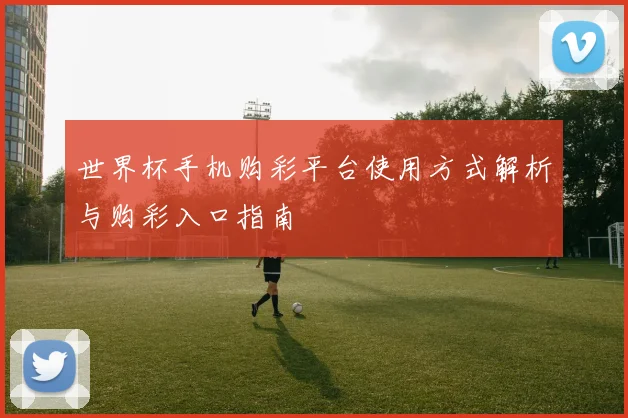 世界杯手机购彩平台使用方式解析与购彩入口指南